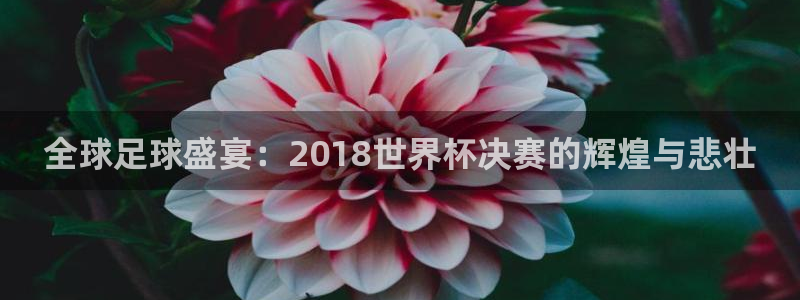 足球世界杯时间：全球足球盛宴：2018世界杯决赛的辉煌与悲壮