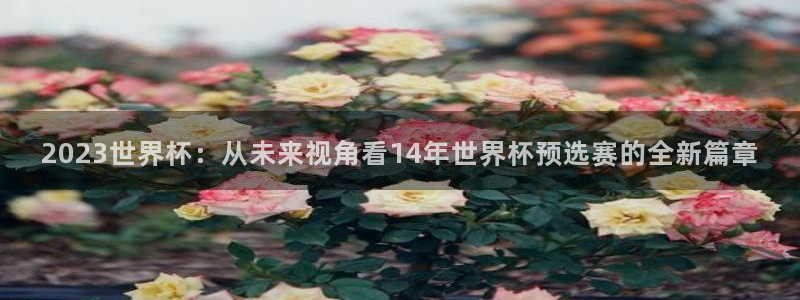 世界杯 直播：2023世界杯：从未来视角看14年世界杯预选赛的全新篇章