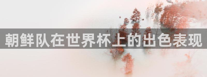 葡萄牙世界杯赛程：朝鲜队在世界杯上的出色表现