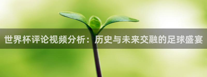 欧联杯直播：世界杯评论视频分析：历史与未来交融的足球盛宴