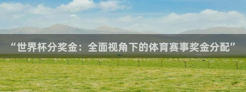 2026足球世界杯：“世界杯分奖金：全面视角下的体育赛事奖金分配”