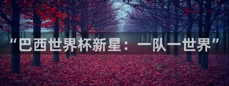 今天所有足球赛程表：“巴西世界杯新星：一队一世界”