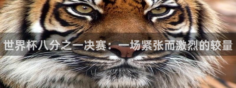 2026年男足世界杯：世界杯八分之一决赛：一场紧张而激烈的较量