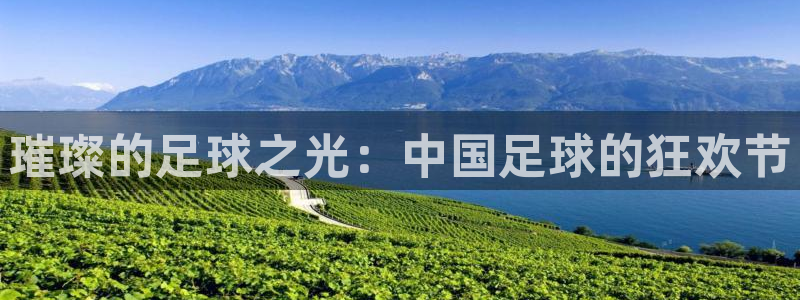 欧洲世界杯预选赛：璀璨的足球之光：中国足球的狂欢节