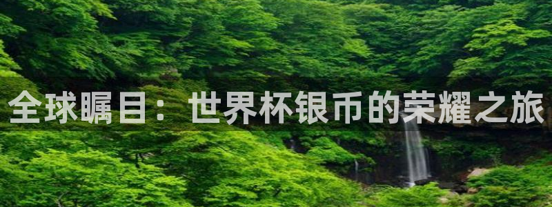 世界杯2026比赛时间表：全球瞩目：世界杯银币的荣耀之旅