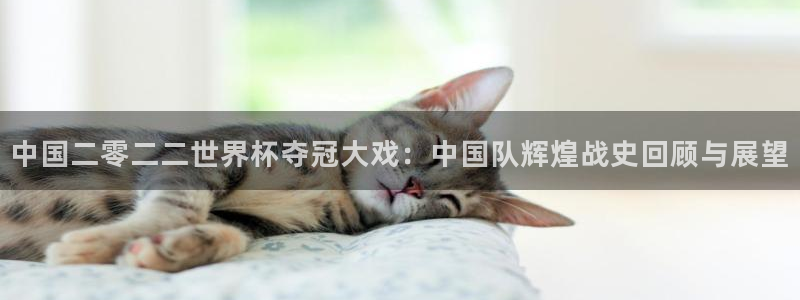 世界杯足球直播：中国二零二二世界杯夺冠大戏：中国队辉煌战史回顾与展望