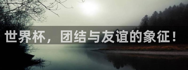 2026世界杯中国队：世界杯，团结与友谊的象征！