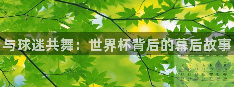 世界杯亚洲区预选赛积分榜：与球迷共舞：世界杯背后的幕后故事