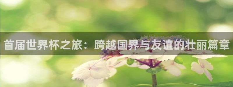 世界杯足球赛2026赛程时间：首届世界杯之旅：跨越国界与友谊的壮丽篇章