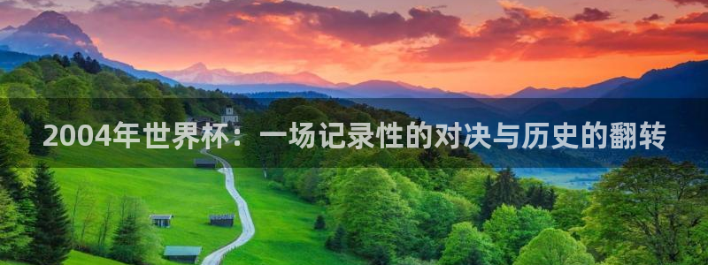 世界杯预选赛赛程时间表：2004年世界杯：一场记录性的对决与历史的翻转