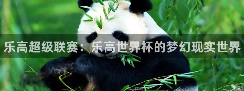 世界杯足球赛：乐高超级联赛：乐高世界杯的梦幻现实世界